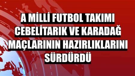 Futbol Maçlarının Ekonomik Boyutları ve Gelir Modelleri